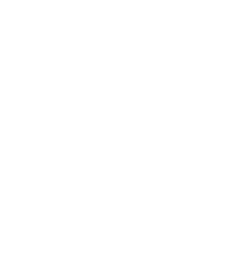 PolitikCheck Logo